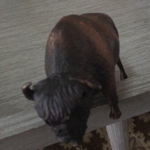 Meet your Posher, Pam